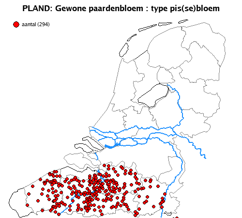 pis(se)bloem